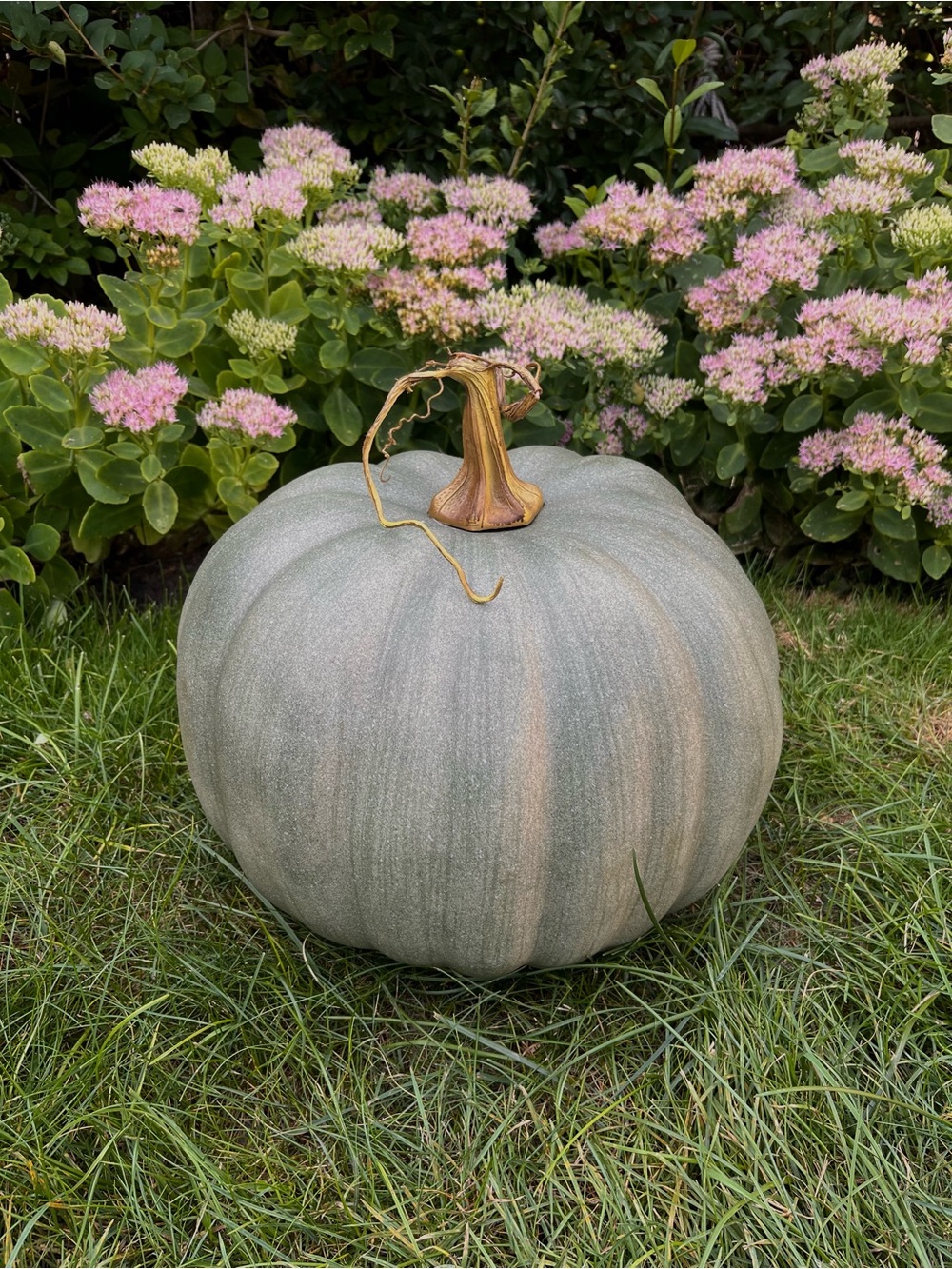 Fall Faux LARGE GREEN Pumpkin - Picture 3 of 14